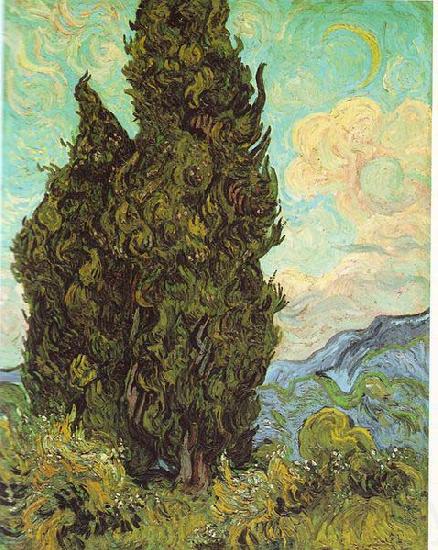 Vincent Van Gogh Cypresses France oil painting art